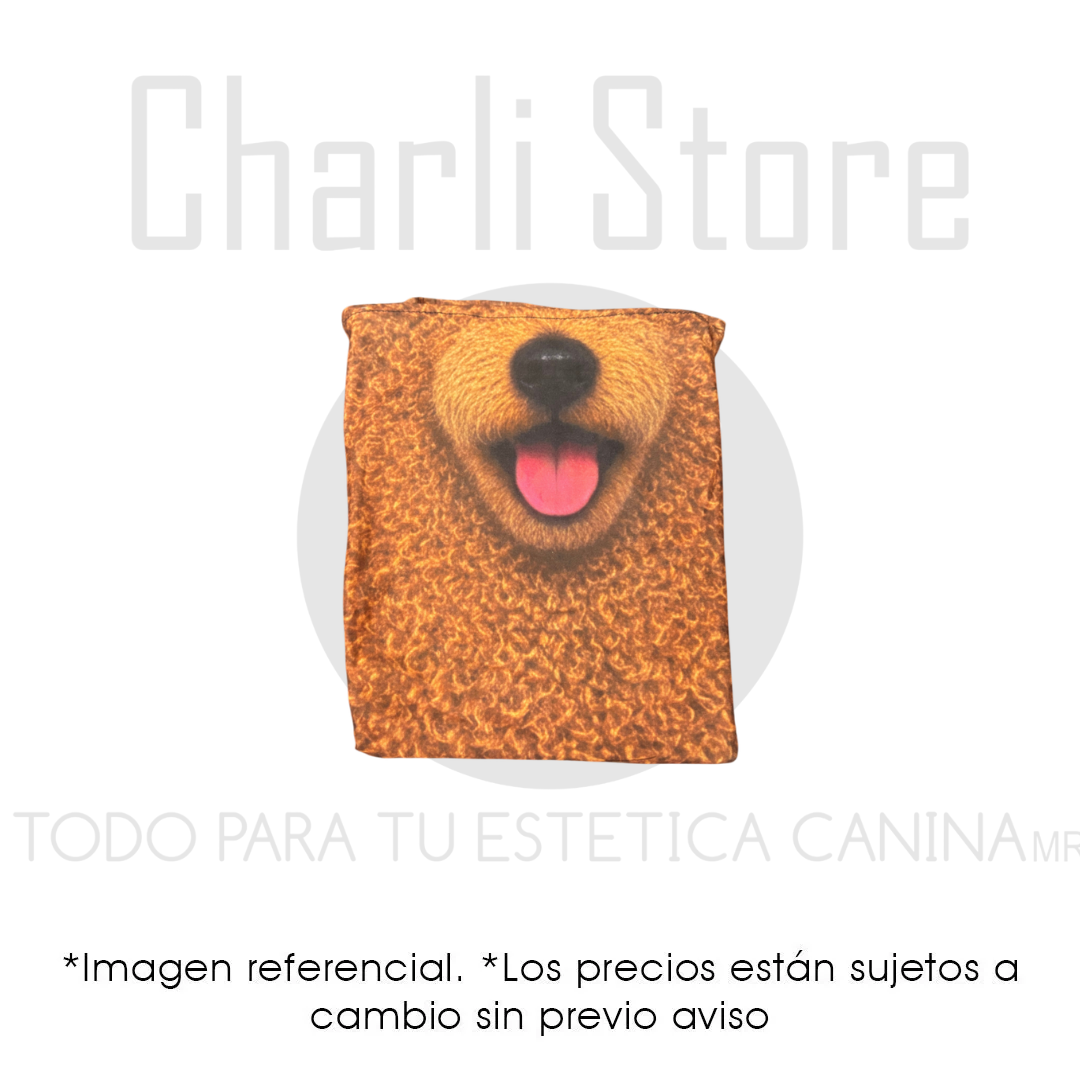 Pasamontañas