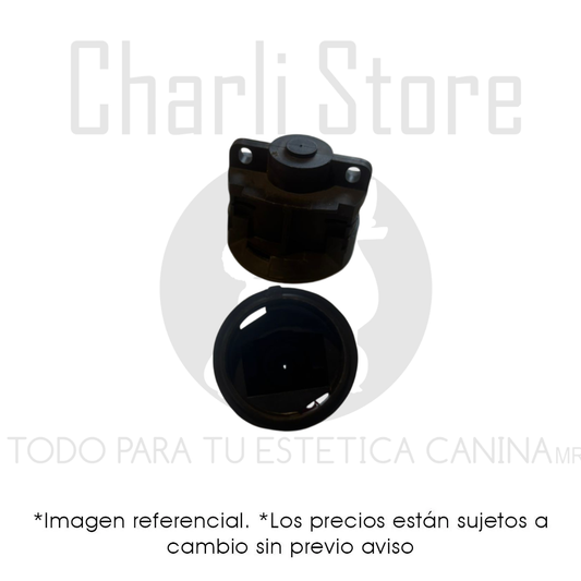 Andis cabeza anterior