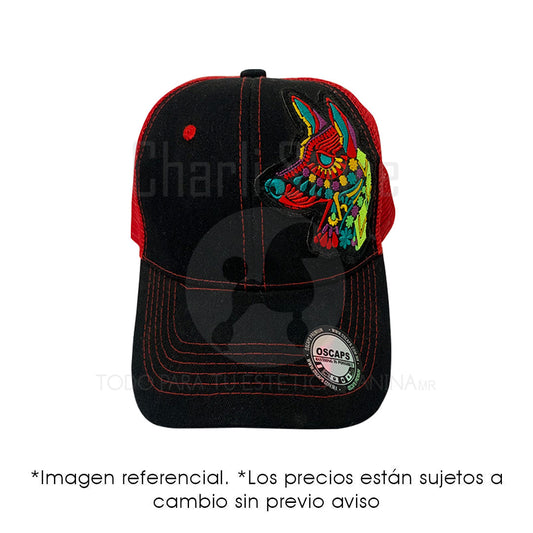 Gorra Con Visera De Color