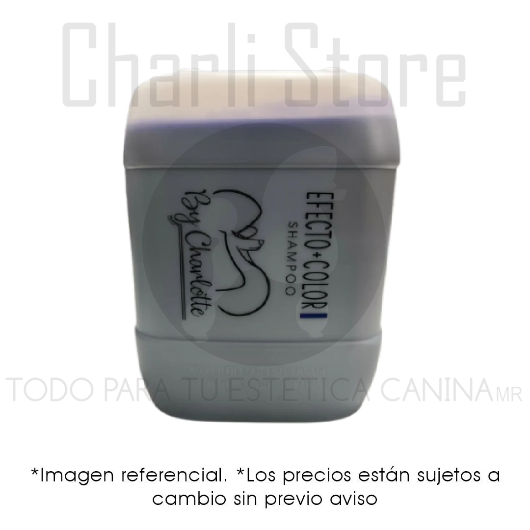 Shampoo By Charlotte 10 litros – Más Color