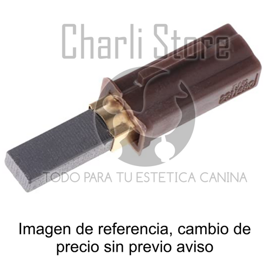 Carbones ametek secadora wind power (1pz)